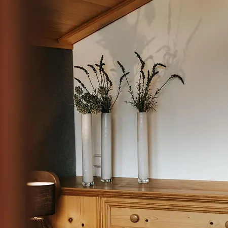 Alpine 407 By Globboard * シュラートミンク