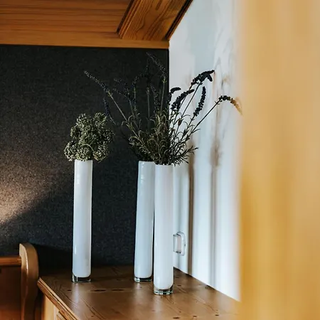 Alpine 407 By Globboard アパート *