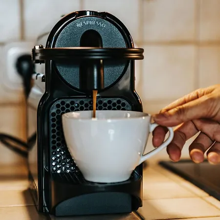 Alpine 407 By Globboard