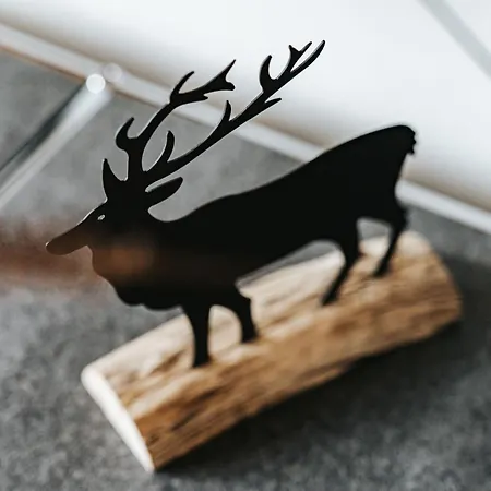 Alpine 407 By Globboard アパート シュラートミンク