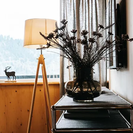 Alpine 407 By Globboard * Schladming