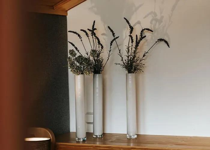 Alpine 407 By Globboard * Schladming