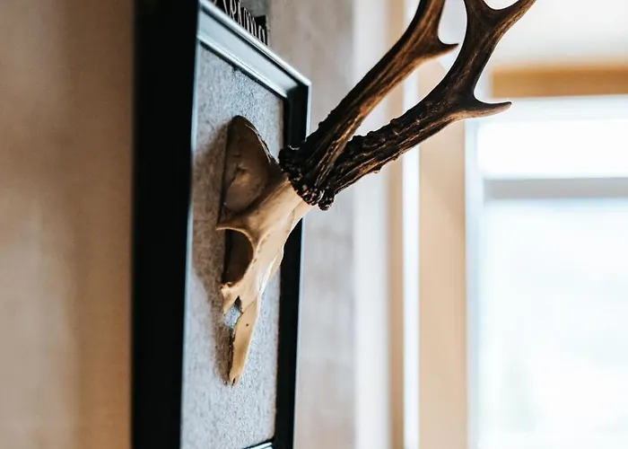 Apartamento Alpine 407 By Globboard