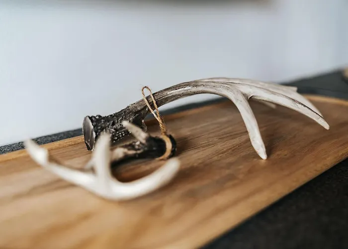 Apartman Alpine 407 By Globboard Schladming