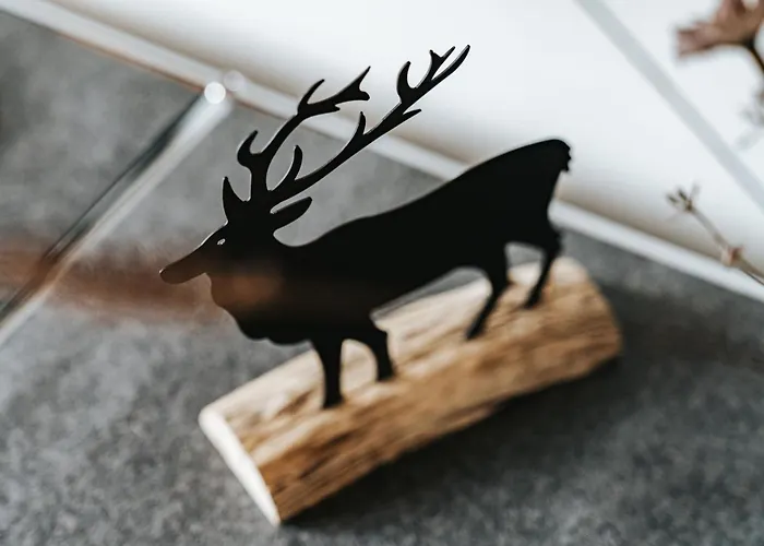 Alpine 407 By Globboard Apartman Schladming